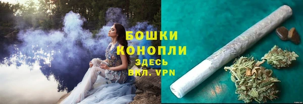 дмт Касимов