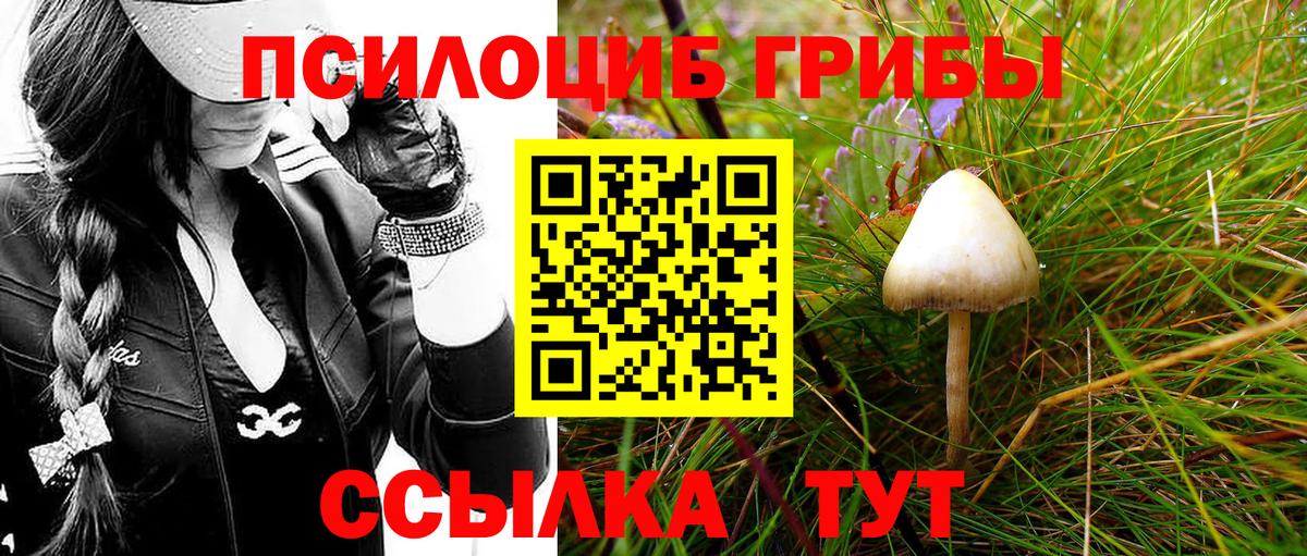 где продают   Галлюциногенные грибы GOLDEN TEACHER  Вход с VPN  Кинель 